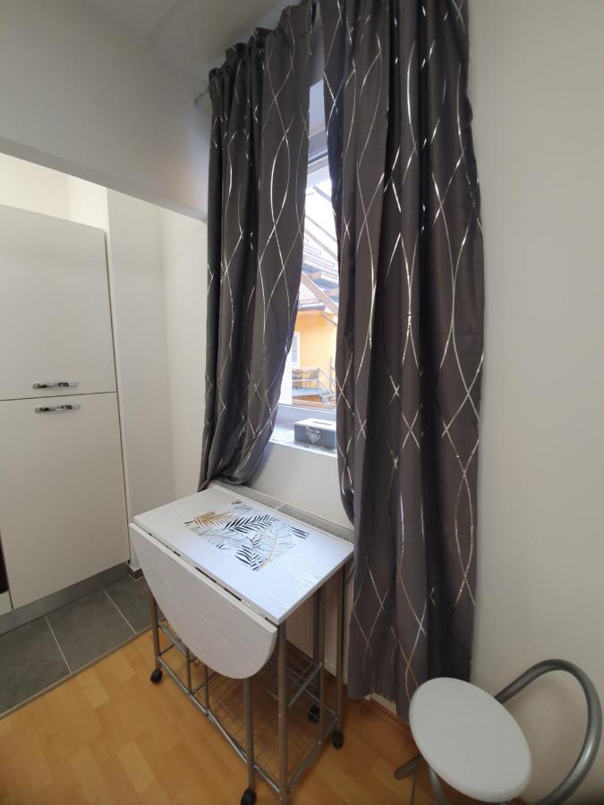 Maribor City Center Minidorm Apartment المظهر الخارجي الصورة