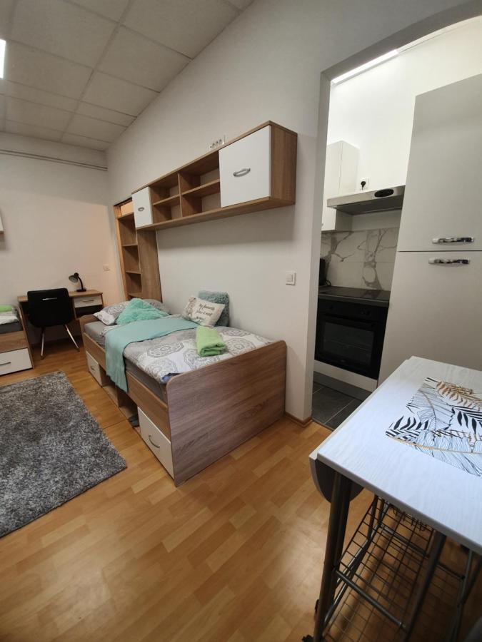 Maribor City Center Minidorm Apartment المظهر الخارجي الصورة