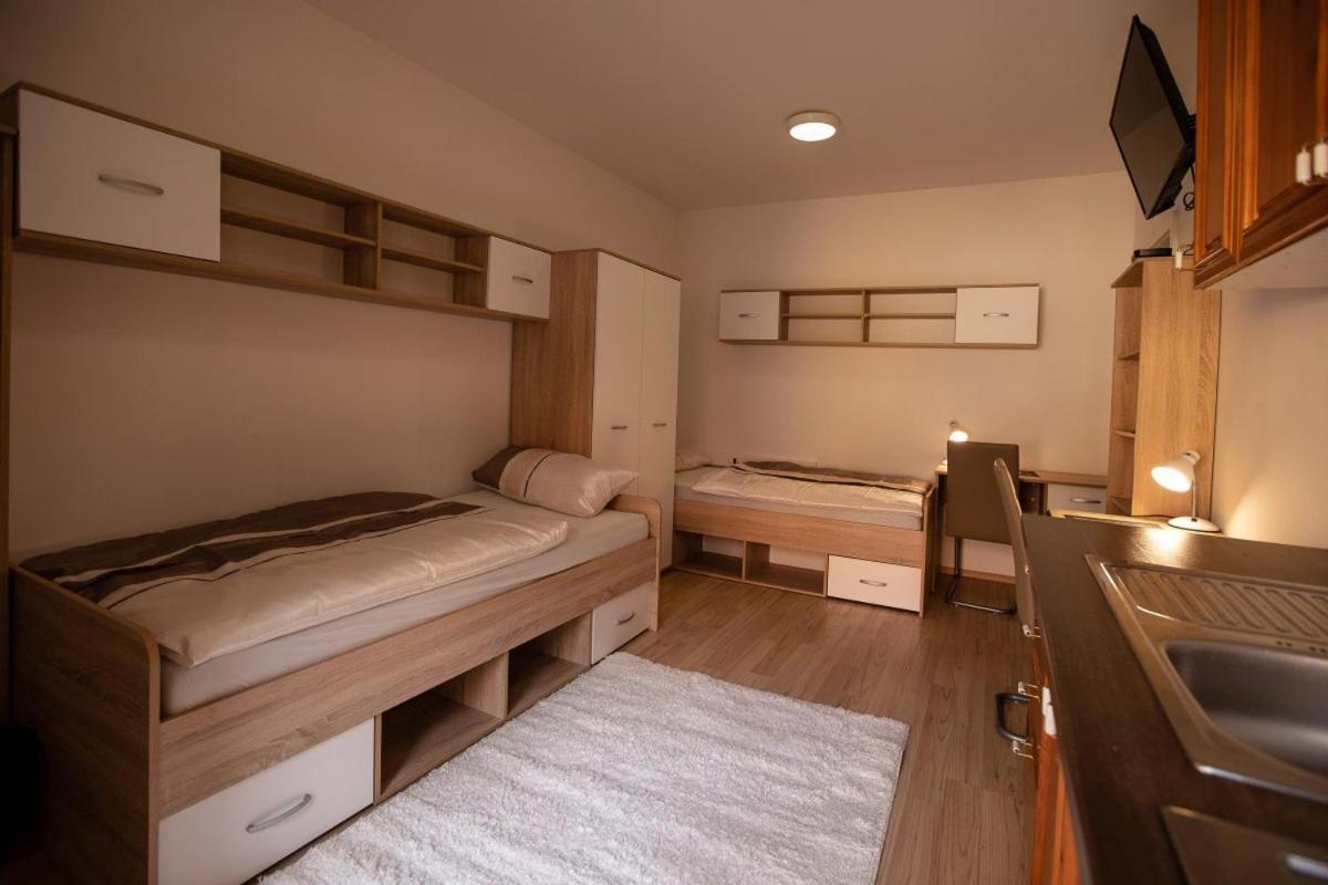 Maribor City Center Minidorm Apartment المظهر الخارجي الصورة